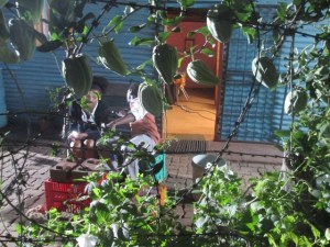 ???????????????????????????????